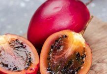 Conoce cómo se toma el tomate de árbol para prevênir la visión borrosa (+ Detalles)