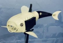 Estudiante de Inglaterra crea un prototipo de pez robot para reducir la contaminación del agua (+ Detalles)