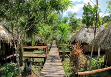 Descubre el corazón salvajë de Venezuela: así es El Parque Nacional Mariusa en el Delta del Orinoco