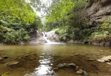 El Río San Julián: un oasis natural para escapar del calor en La Guaira (+ Fotos)