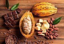 Realizarán primera Expoferia Cacao y Chocolate en Cumaná el próximo 16 y 17 de julio