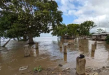 Ascenso en los niveles del río Orinoco disminuyó significativamente en Delta Amacuro: de momento, autoridades descartan riesgö por acción del agua