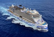 Padre rescata a su hija tras una caída al mar desde un crucero de Disney Dream