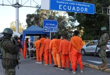 Ecuador deportó a más de 800 presös colombianos por vía terrestre y el gobierno de Petro eleva una protestä diplomática