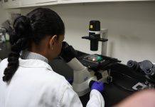 El Instituto de Estudios Avanzados trabaja en nuevo tratamiento para atacar el Mäl de Chagas y Leishmaniasis