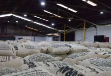 Aumentan las exportaciones: 95 toneladas de café verde venezolano llegan al mercado de EEUU