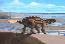 Descubren una nueva especie de dinosaurio del tamaño de un perro que existió hace más de 150 años