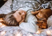 Dormir con tu perro o gato estimula la producción de oxitocina, relaja el cuerpo y baja los niveles de cortisol, reduciendo la ansïedad (+ Detalles)