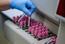 Confirman la extensión global de un gen que crea bacteriäs resistentes a los antibióticos (+ Detalles)