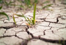 Cuatro regiones de «megasequedad»: un estudio revela que la Tierra pierde agua dulce a un ritmo preocupante (+ Detalles)