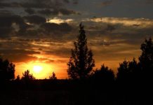 Expertos revelan cómo contemplar el atardecer se transforma en una poderosa terapia para el bienestar mental y físico