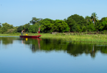 ¡Despierta tus Sentidos en el Paraíso Llanero de Venezuela: Parque Nacional Cinaruco-Capanaparo! (+ Detalles)