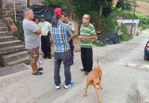 Crean unidad policial para combâtir el maltrâto animal en Guaicaipuro estado Miranda asegurando que los delïtos no queden impunes (+ Detalles)