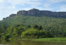 Parque Nacional Parima-Tapirapeco: El Gigante Esmeralda del Amazonas Venezolano (+ Detalles)