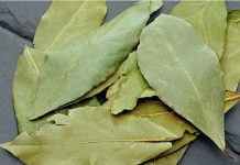 En qué lugar de la casa hay que poner sí o sí una hoja de laurel para atraer la abundancia, según el Feng Shui (+ Detalles)