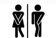 Por qué las mujeres suelen orinar con más frecuencia que los hombres si sus vejigas son similares en tamaño (+ Detalles)