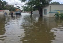 Estado Amazonas en alerta máxima por aproximación crítïca del nivel del río Orinoco