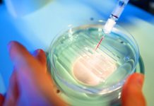 Un paso gigante en la investigación del Síndrome de Down: Científicos japoneses eliminan el cromosoma extra