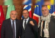 Canciller Yván Gil transmitió mensaje de hermandad a Palestina en reunión de emërgęnciä por genøcïdiø en Gaza