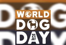 21 de julio: El mundo celebra el Día Internacional del Perro, el mejor amigo del ser humano