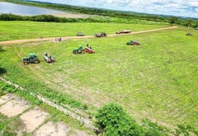 Con más de mil hectáreas de maíz amarillo, Aragua dio inicio formal a su ciclo de siembra para el período 2025