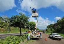 Ejecutan pico y poda de árboles en Maturín como prevención por las lluvias