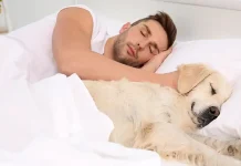 Dormir con tu perro sí hace bien: la ciencia respalda sus efectos calmantes y emocionales