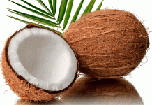 El coco: Un alimento muy popular para reducir grasa corporal que además aporta propiedades nutricionales (+ Detalles)