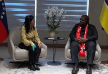 Venezuela y Mozambique reimpulsan sus lazos estratégicos con miras a una cooperación energética
