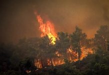 Grecia sigue luchando contra el fuegö y las evacuaciones ya llegan a 2.500 personas afectadas