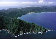 Cabo Codera: una de las joyas naturales que pueden disfrutarse en las costas de Miranda (+ Fotos)