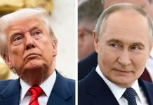 Vladimir Putin reveló que sostendrá una nueva conversación telefónica con Donald Trump