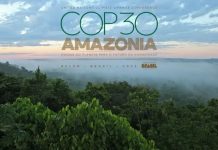 Organizaciones solicitan ser incluidos en el COP30 de Brasil para abordar financiación para el cuidado del Amazonas