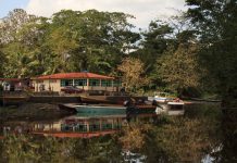 Conoce a detalle el Parque Nacional Turuépano, un tesoro ecoturístico para explorar en Sucre (+ Fotos)