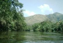Aguas termales de Naricual: Un oasis natural para disfrutar en Anzoateguí (+ Fotos)