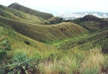 El Parque Municipal Cerro Casupo: Un destino natural ideal para el disfrute al aire libre en Valencia (+ Fotos)