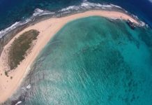 Venezuela planea combatir la contaminación plástica en Isla de Aves con tecnología satelital