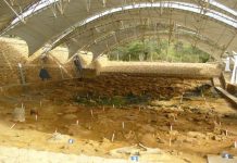 Taima-Taima: Un destino histórico ubicado en Coro para conectar con la arqueología en el país (+ Fotos)