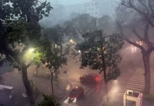 Tormenta Wipha tocó Vietnam y dejó un rastro de destruccïón el sudeste de la nación asiática