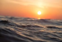 Punto de inflexión climático: El calor marino podría superar sus niveles más altos registrados este año