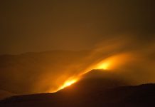 Ola de incendïos forestales en Portugal mantiene en alerta a cuerpos de seguridad