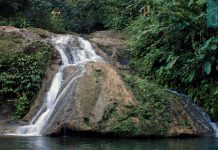 Conoce Birongo con sus cascadas, ríos, cacao, cavernarios, y cultura afrodescendiente de Barlovento (+ Fotos)