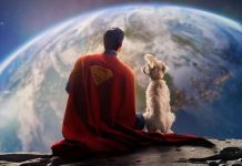 El “Efecto Krypto”: Película de Superman dispara las adopciones de perros a nivel global