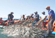 Zulia se incorpora al Estado Mayor de Pesca y Acuicultura para impulsar rubros provenientes del Lago de Maracaibo