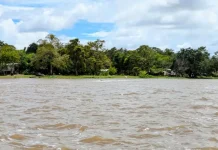 Delta Amacuro desplegó funcionarios de Protección Civil y activó plan de contingenciä ante crecida del río Orinoco