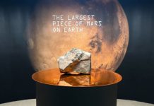 Desde marte a la tierra: la pieza más grande del planeta rojo se subasta por $5,3 millones de dólares