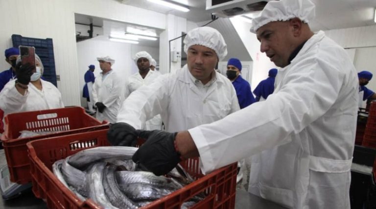 En busca de diversificar su economía, Miranda destinó 24 toneladas de tajalí a China desde Barlovento