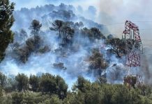 Devastâdor incêndio forestal provoca el cierre de un aeropuerto, trenes cancelados y cortes de carretera en el sur de Francia (+ Detalles)