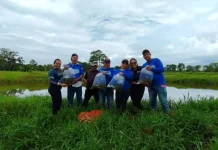 Entregan más de 26 000 alevines de coporo a productores del Eje Panamericano de Mérida