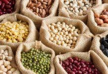 Las legumbres son una excelente fuente de proteína, vitamina y aporta fibra al organismo durante el día (+ Detalles)